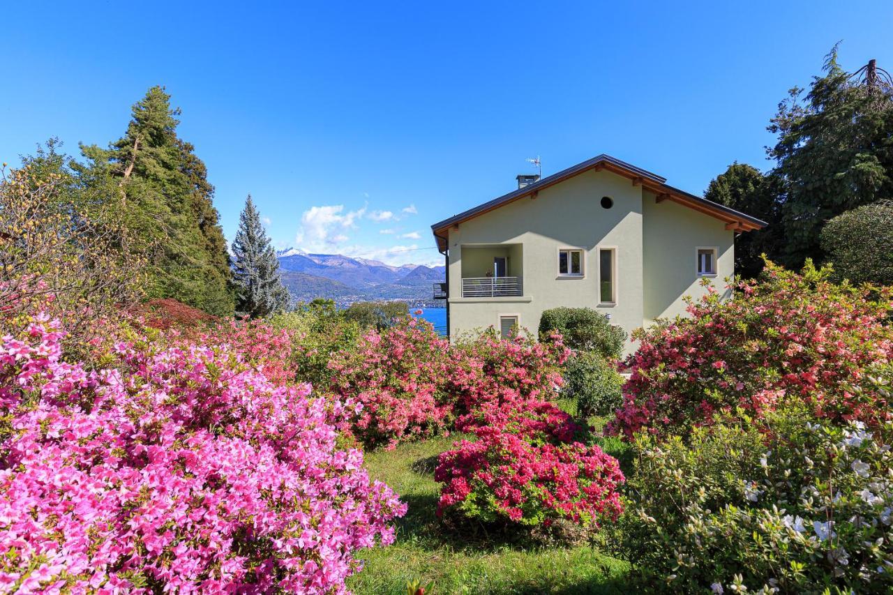 Belvedere - By Impero House *